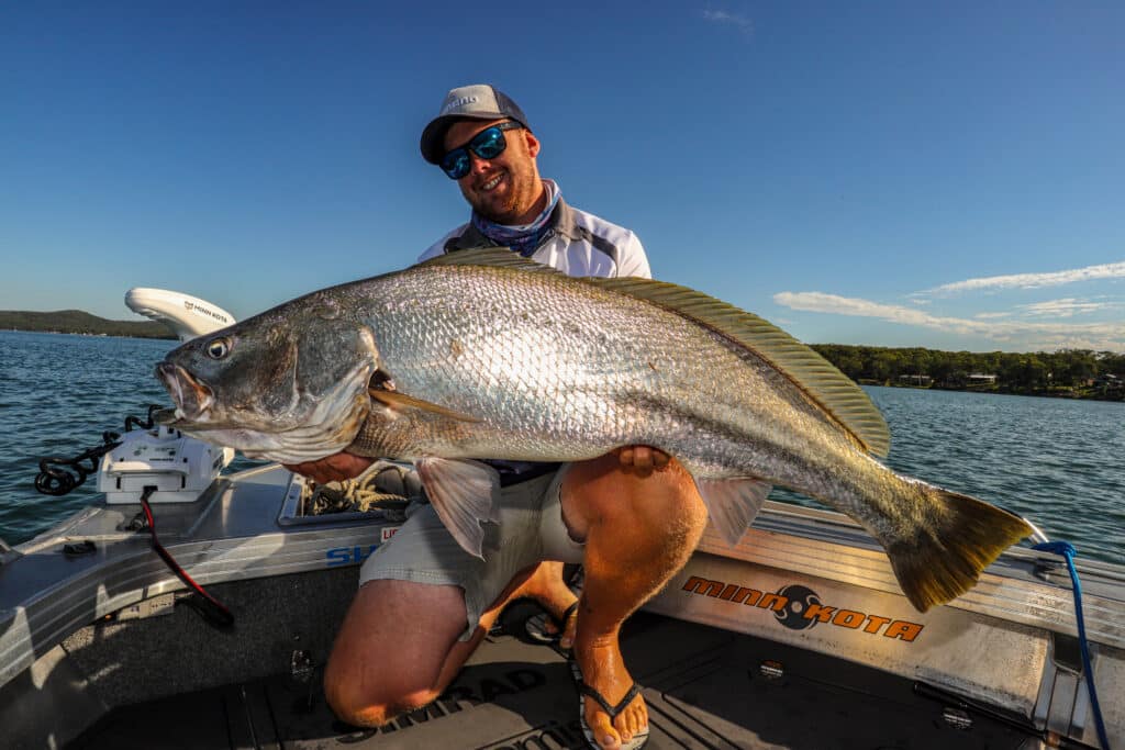 Big mulloway like this fight hard especially on light tackle.